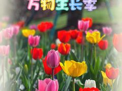 -上海辰山植物园