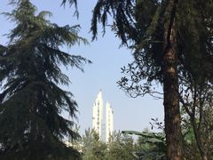 -大渡口区义渡公园