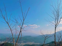 -紫鹊界梯田景区