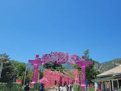-北京凤凰岭