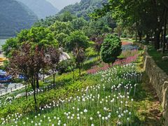 -秦岭终南山世界地质公园翠华山景区