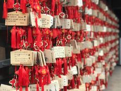 -峨眉山报国寺