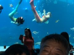 -瑞德姆美人鱼海底演艺主题餐厅(亚龙湾店)