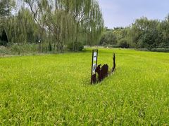 -北坞公园