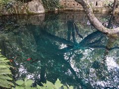 -蝴蝶泉公园