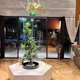 [加油][加油]好吃的牛扒