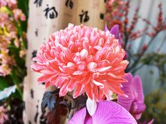 -厦门园林博览苑