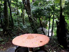 -七仙岭温泉国家森林公园