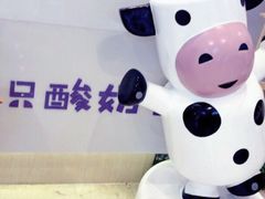 -一只酸奶牛(时代天街A馆店)