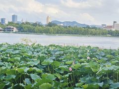 -济南大明湖景区