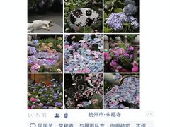 -西湖文化广场