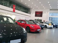 -TESLA 特斯拉(北京南四环中路特斯拉中心)