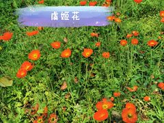 -厦门园林博览苑