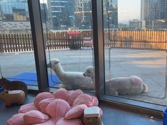 -FAIRYLAND龙族星球主题餐厅(凯丹广场店)