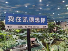 -凯德广场(学府店)