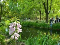 -上海共青森林公园