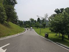 -东岳体育公园