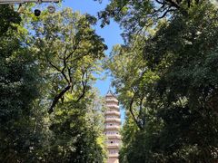 -灵谷景区