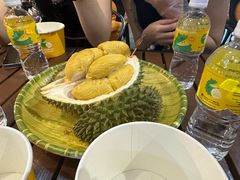 -榴莲BB 四季果园