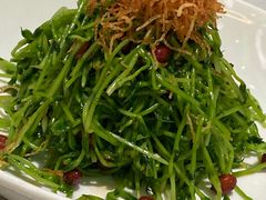 -青花椒花椒鱼(合生汇店)