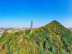 -上海佘山国家森林公园天马山园