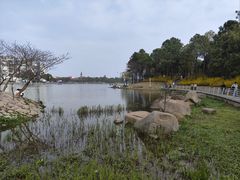 -美兰湖景区