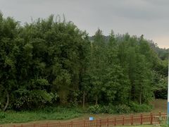 -荔明优客酒店(广州增城挂绿广场店)