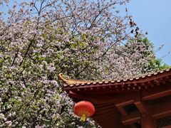 -南沙天后宫景区