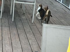 -渔·海鲜餐厅（东澳可域度假村内）南沙湾沙滩店