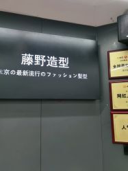 点击看大图 -藤野造型