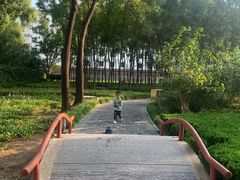 -达活泉公园