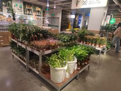 -宜家家居(哈尔滨商场店)