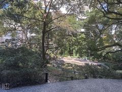 -香港大学