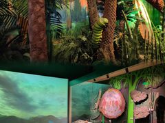 -正佳自然科学博物馆