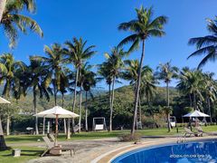 -三亚亚龙湾金棕榈度假酒店