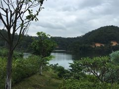 -河源万绿湖美思威尔顿酒店
