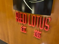 -红莲中餐厅(日航饭店)