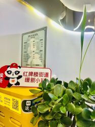 -MS.SALON美发沙龙