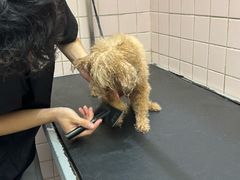 -FAELING PETS美天灵宠物(富力广场店)