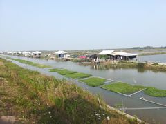 -大湾区中央湿地公园
