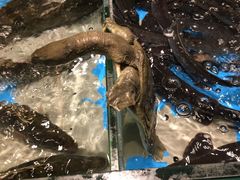 -海景壹号大酒店(惠钱路店)