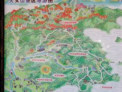 -天女山森林公园