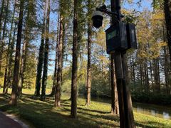 -黄海国家森林公园