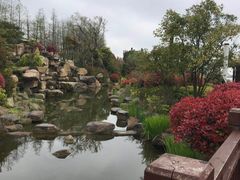 -上海长兴岛郊野公园