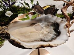 -Oyster Talks 四度蚝法餐厅