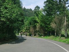 -都江堰中华大熊猫苑