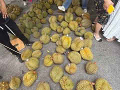 -海吉星市场