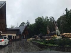 -金水鹤温泉国际酒店