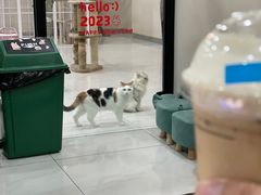 -瑞幸咖啡(西铁营万达广场店)