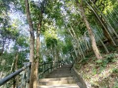 -石台牯牛降景区